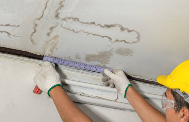 Reliable Sewage Cleanup contractor in Fenwick, MI by Water Damage Irwin
